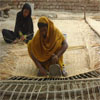 Enterprise and skill development: image 4 0f 7