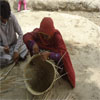 Enterprise and skill development: image 6 0f 7