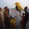 Relief Work: image 6 0f 9